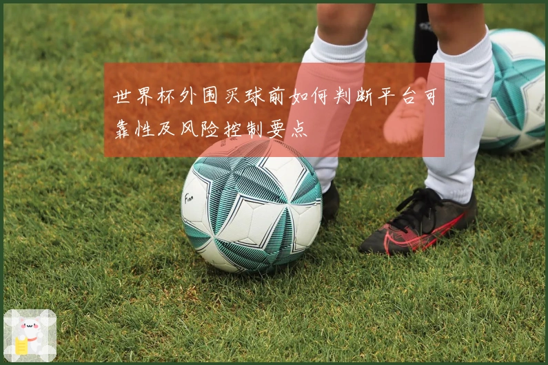 世界杯外围买球前如何判断平台可靠性及风险控制要点