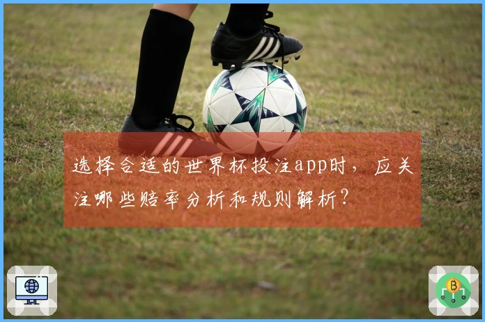 选择合适的世界杯投注app时，应关注哪些赔率分析和规则解析？
