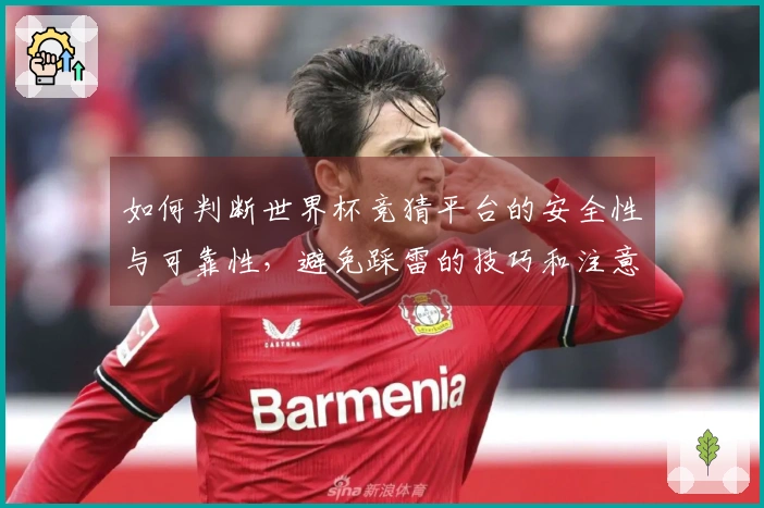 如何判断世界杯竞猜平台的安全性与可靠性，避免踩雷的技巧和注意事项