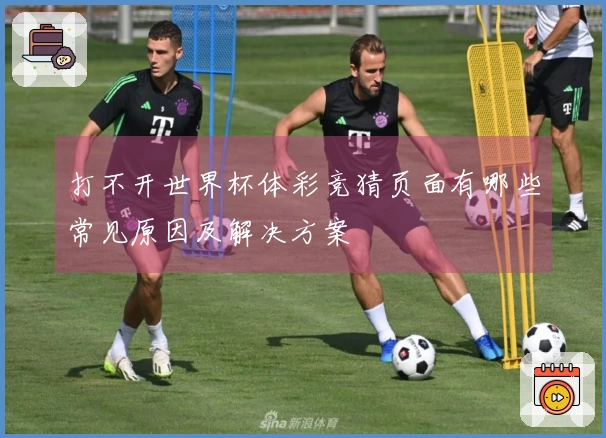 打不开世界杯体彩竞猜页面有哪些常见原因及解决方案