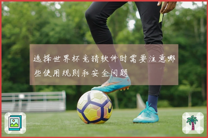 选择世界杯竞猜软件时需要注意哪些使用规则和安全问题