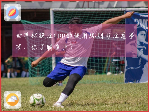 世界杯投注app的使用规则与注意事项，你了解多少？