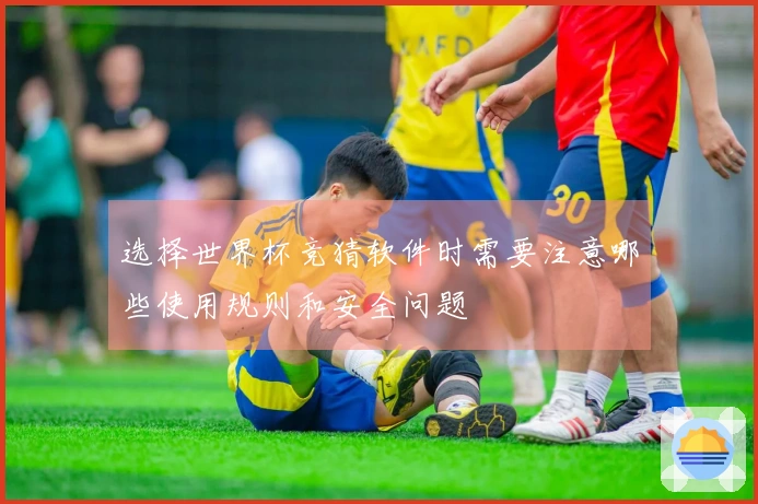 选择世界杯竞猜软件时需要注意哪些使用规则和安全问题