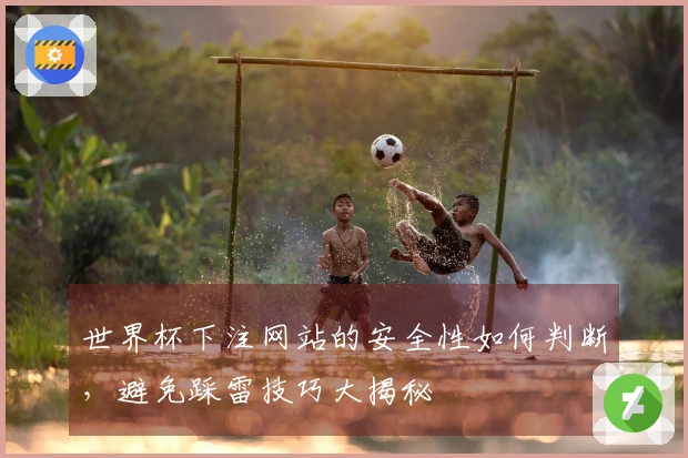 世界杯下注网站的安全性如何判断，避免踩雷技巧大揭秘