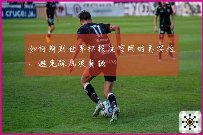 如何辨别世界杯投注官网的真实性，避免踩坑浪费钱
