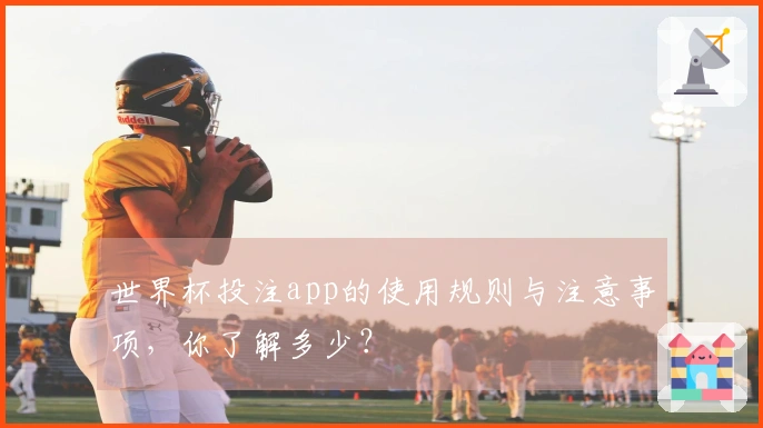 世界杯投注app的使用规则与注意事项，你了解多少？