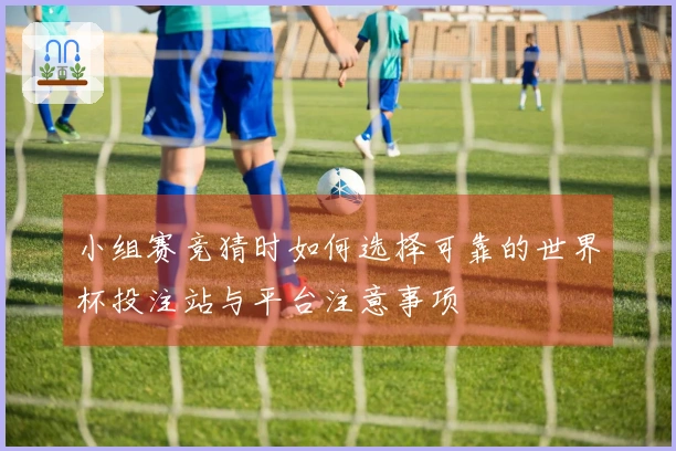 小组赛竞猜时如何选择可靠的世界杯投注站与平台注意事项