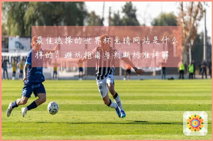 最佳选择的世界杯竞猜网站是什么样的？避坑指南与判断标准详解