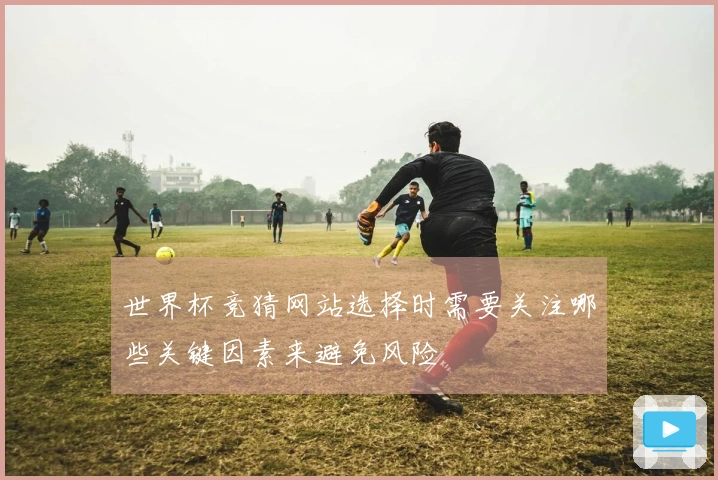 世界杯竞猜网站选择时需要关注哪些关键因素来避免风险