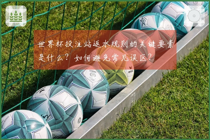 世界杯投注站返水规则的关键要素是什么？如何避免常见误区？