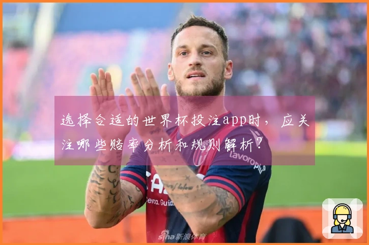 选择合适的世界杯投注app时，应关注哪些赔率分析和规则解析？