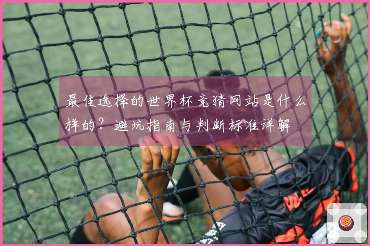 最佳选择的世界杯竞猜网站是什么样的？避坑指南与判断标准详解