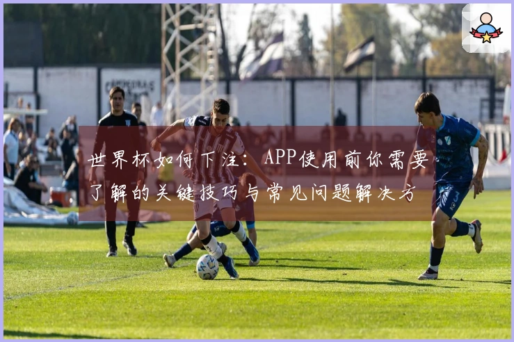 世界杯如何下注：APP使用前你需要了解的关键技巧与常见问题解决方案