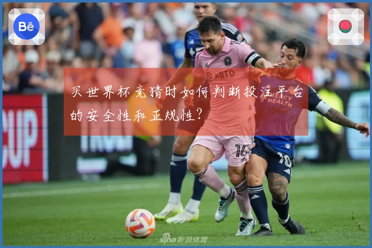 买世界杯竞猜时如何判断投注平台的安全性和正规性？