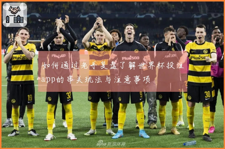 如何通过老手复盘了解世界杯投注app的串关玩法与注意事项