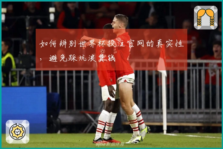 如何辨别世界杯投注官网的真实性，避免踩坑浪费钱
