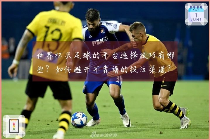 世界杯买足球的平台选择技巧有哪些？如何避开不靠谱的投注渠道？