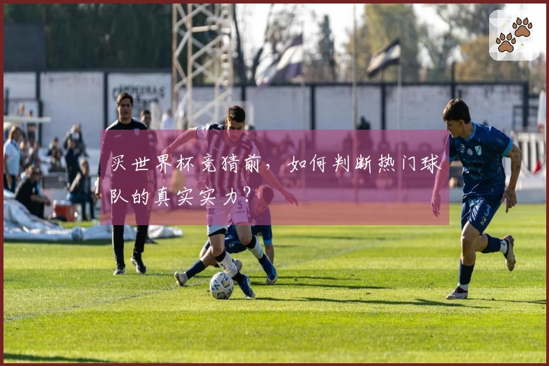 买世界杯竞猜前，如何判断热门球队的真实实力？