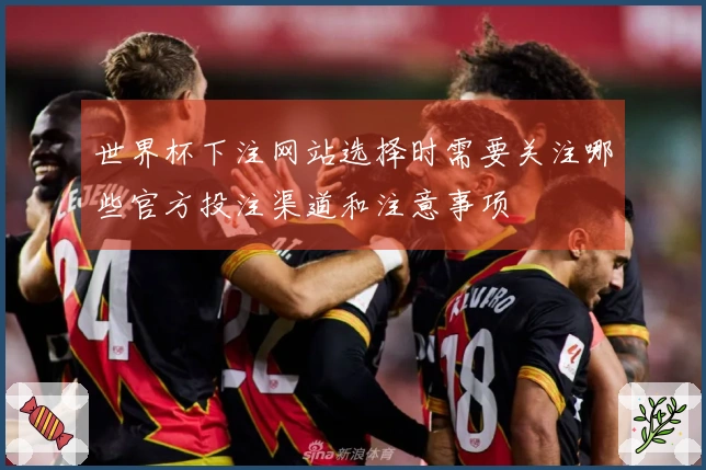 世界杯下注网站选择时需要关注哪些官方投注渠道和注意事项